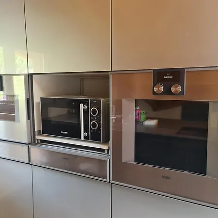Appartamento Jungfrau Penthouse - Aare Jungfrau Ag Wilderswil Esterno foto