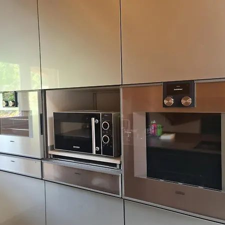 Appartamento Jungfrau Penthouse - Aare Jungfrau Ag Wilderswil Esterno foto