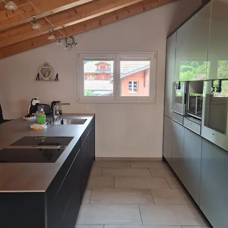 Appartamento Jungfrau Penthouse - Aare Jungfrau Ag Wilderswil Esterno foto