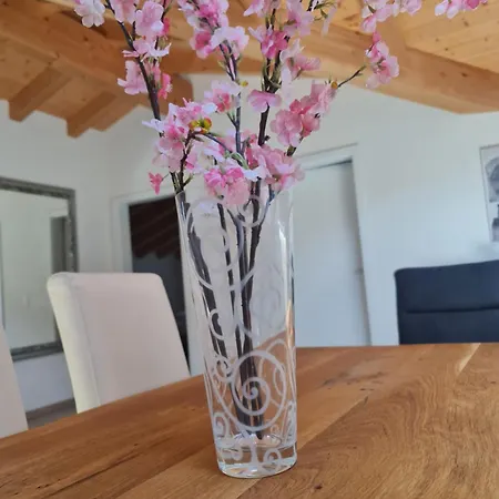 Appartamento Jungfrau Penthouse - Aare Jungfrau Ag Wilderswil Esterno foto